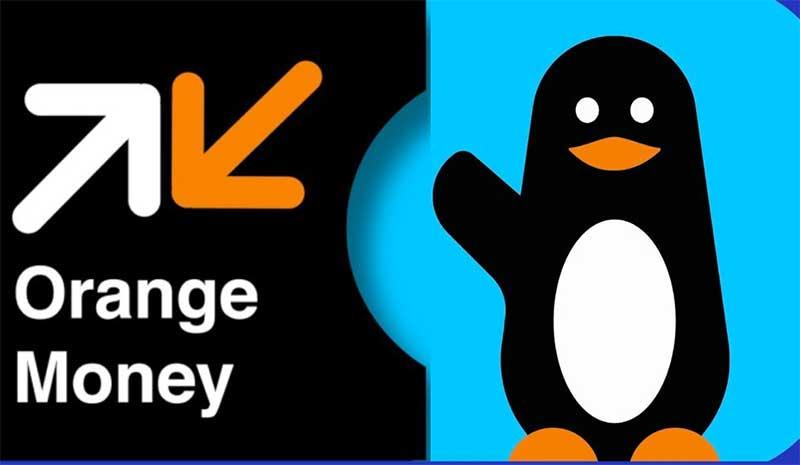orange money et Wave.