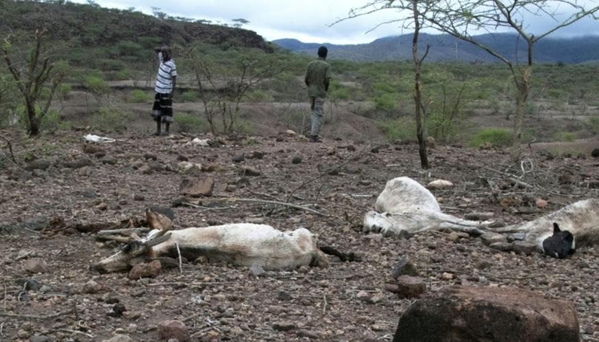 Ethiopie Afrique sécheresse.