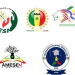 associations france de sénégalais